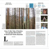 Corriere della Sera, 28.11.24 | Cosa c'è oltre Vaia e il bostrico. Con speciali culle boschive le foreste del Veneto rinascono