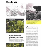 Gardenia 09 2019 | Landscape Festival