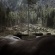 Forests seen from space - Echoes of the Vaia storm |  01 | ph. Alessandro Cinque