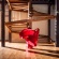 Isaac Julien, O que é um museu? / What is a Museum? (Lina Bo Bardi - A Marvellous Entanglement), 2019 © Isaac Julien. Courtesy the artist and Victoria Miro